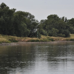 Elbe in Lutherstadt Wittenberg